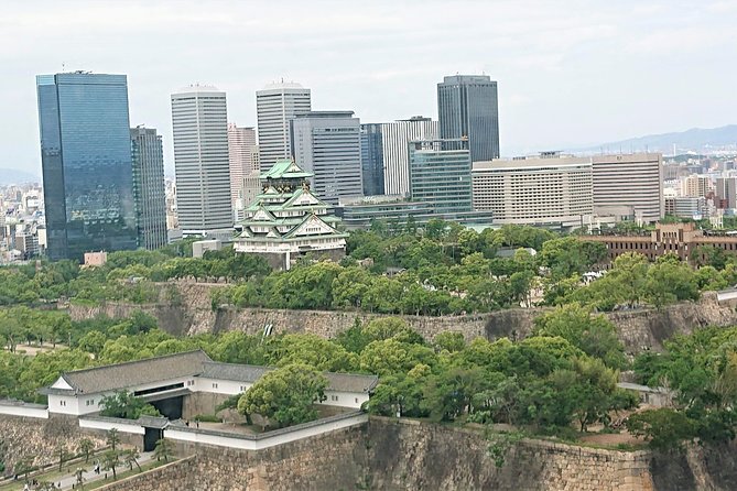 One-Day Walking Tour : Making Fun Memories in North Osaka - Who will get the most from this day