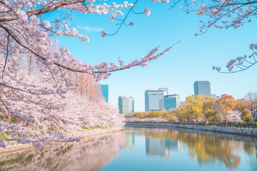 Osaka: 1-Day Private Customizable Trip by Car - Key points at a glance