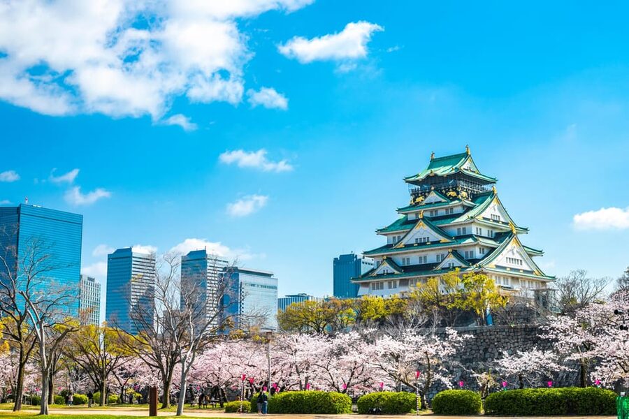 Osaka: 1-Day Private Customizable Trip by Car - What this Osaka car tour really offers