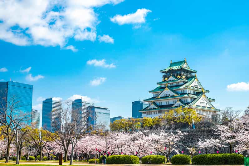 Osaka: 1-Day Private Customizable Trip by Car - Is $516 good value for six people?
