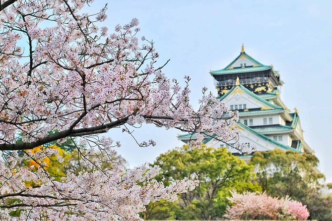 Osaka 6 hr Private Tour: English Speaking Driver Only, No Guide - Shitennoji: a short Buddhist temple stop