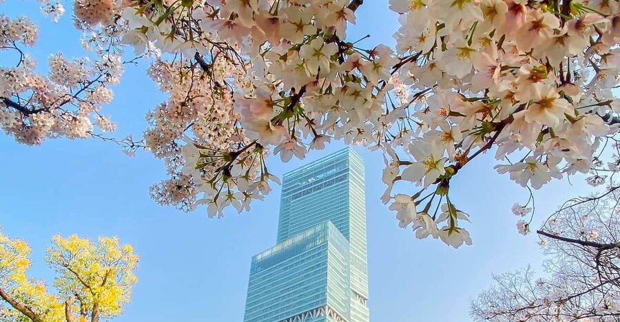 Osaka: Abeno Harukas 300 Observatory E-Ticket - The 16th-floor Art Museum and the wider building