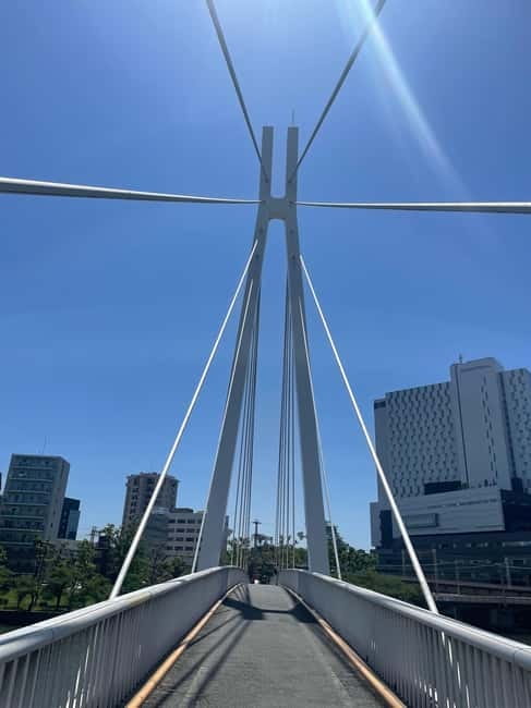 Osaka: Bike Adventure with Lunch - Starting at the Japan Mint