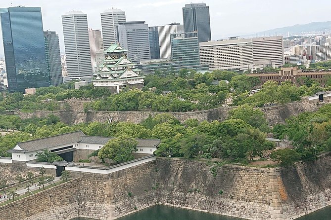 Osaka Castle & Dotonbori Lively One-Day Walking Tour - Key things to know before you book