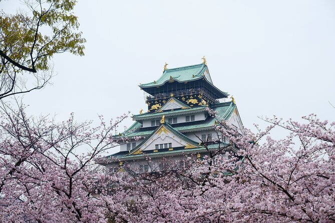 Osaka Castle & Samurai History Walking Tour - Key points to know before booking