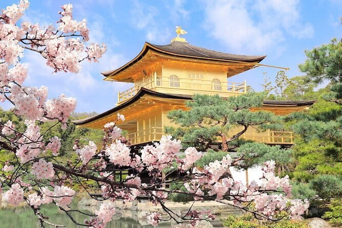 Osaka Castle & Samurai History Walking Tour - Guides, group size, and the feel of the walk