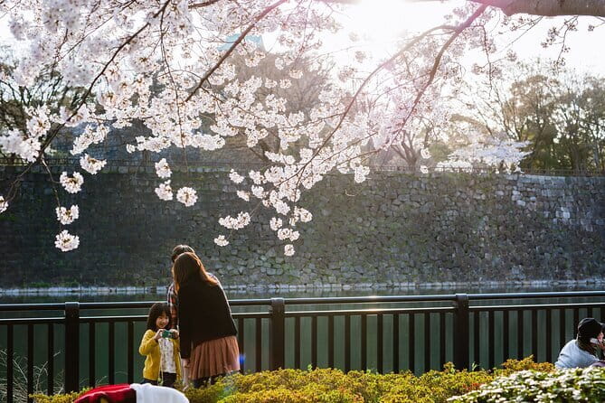 Osaka Castle & Samurai History Walking Tour - Nishinomaru Garden, a quieter view of the castle