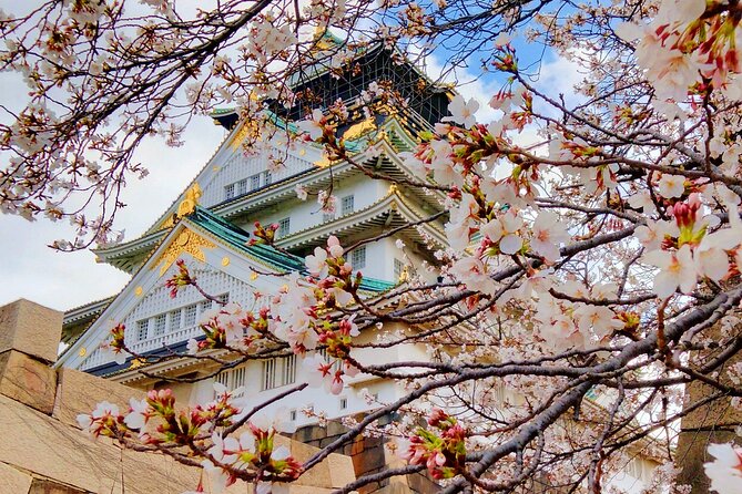 Osaka Castle & Temple Walking Tour with Multilingual Audio Guide - Key points at a glance