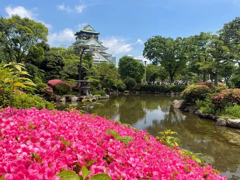 Osaka: City Highlights Bike Tour - Nakanoshima’s European-style buildings and rose garden