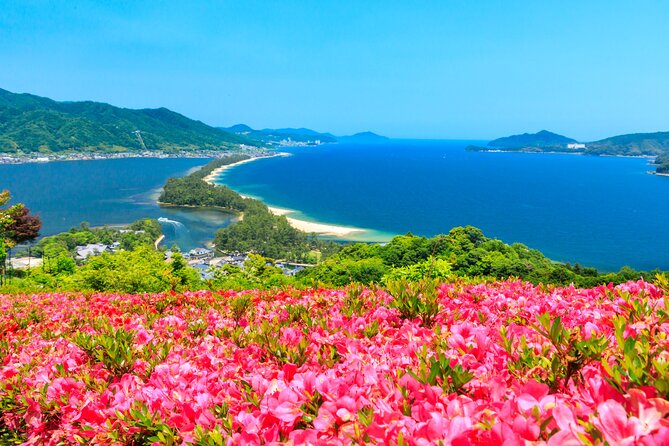 Osaka Day Tour: Amanohashidate & Ine Bay - Key points to know before you book