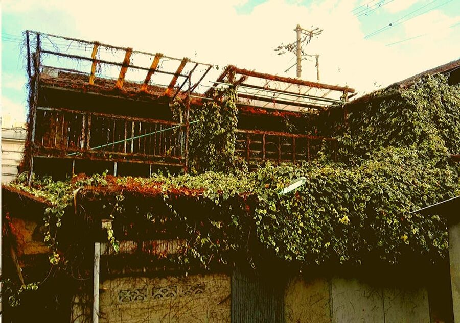 Osaka: Deep Backstreets Walking Tour with Dinner Option - Key points to know before you book