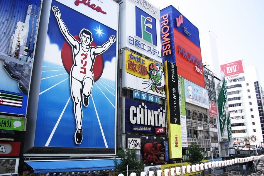 Osaka: Full-Day Sightseeing Tour by Private Vehicle - Lunch is flexible, but plan for it
