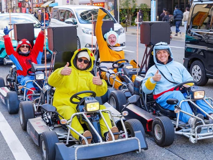 Osaka: Guided Go Karting Tour in a Funny Costume - Key points worth knowing