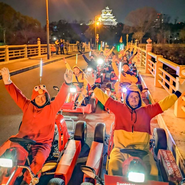 Osaka: Guided Go Karting Tour in a Funny Costume - Namba and Dotonbori under city lights