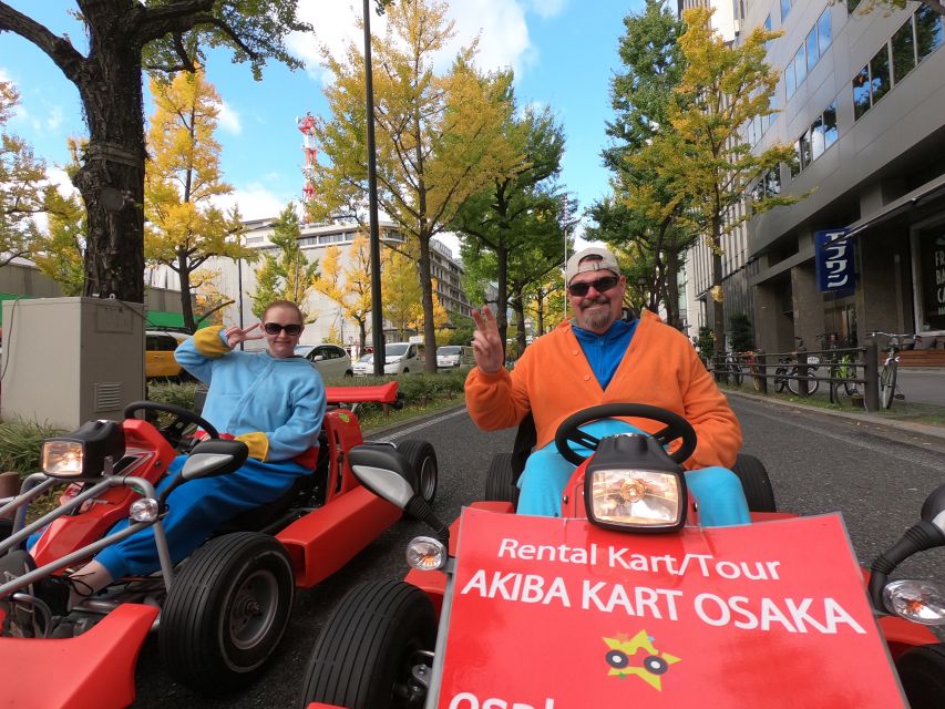 Osaka: Guided Go Karting Tour in a Funny Costume - Cost, timing, and the real value of one hour