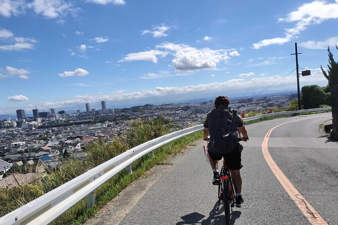 Osaka Half-day E-bike Adventure: Minoh Falls & Katsuoji Temple - Key points at a glance