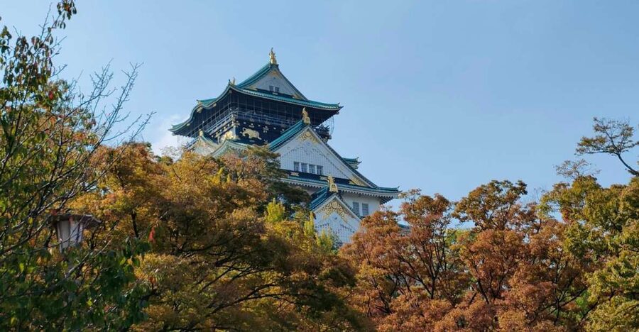 Osaka: Half-day Ultimate Highlights Guided Walking Tour - From Osaka Castle’s stone walls to the city’s neon core