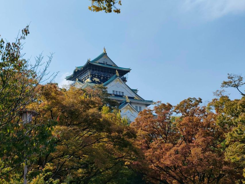 Osaka: Half-day Ultimate Highlights Guided Walking Tour - Ebisu Bridge and Dotonbori deliver the classic Osaka photo
