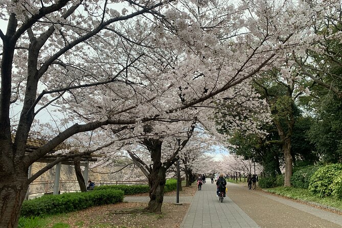 Osaka Highlights: 4Hrs Guided Walking Tour with a Native Expert - Osaka Castle, where the tour begins with Japan’s power struggles