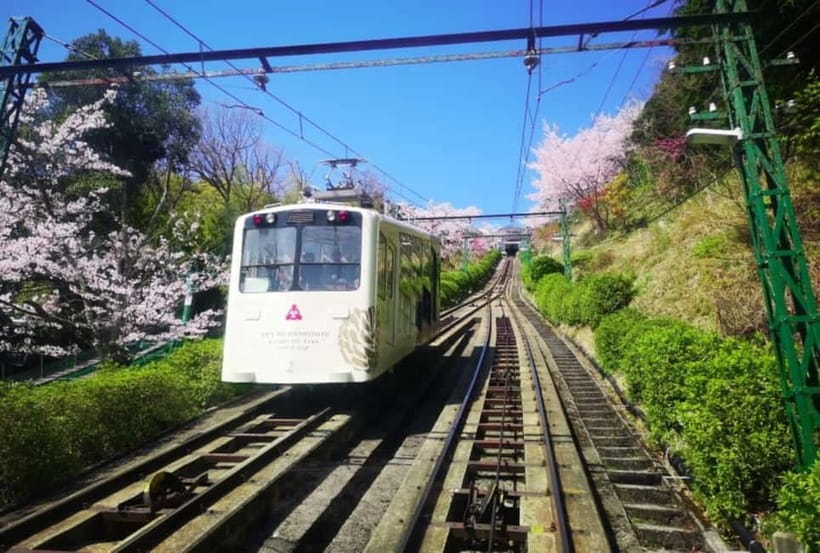 Osaka/Kyoto: Amanohashidate & Miyama Tour with Boat & Lunch - Is $71 a good value?