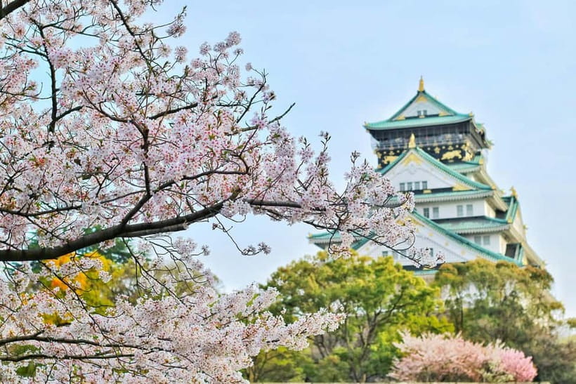 Osaka: Kyoto and Nara Private Day Trip - The walking, weather, and access reality