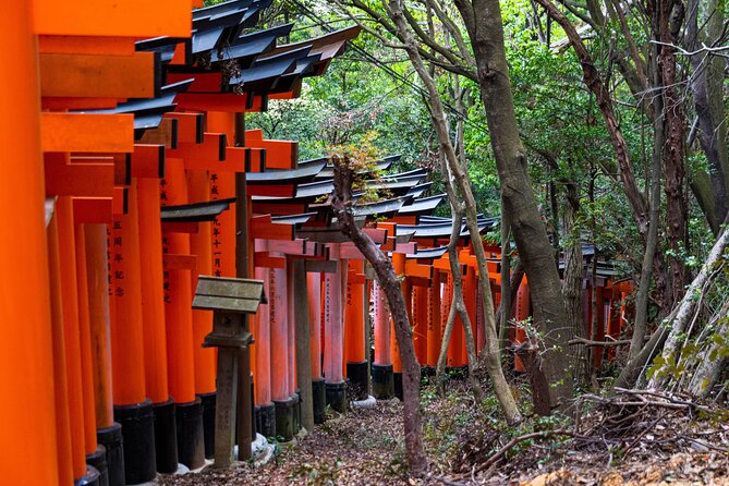 Osaka/Kyoto: Arashiyama, Fushimi Inari & Nara Park Day Trip - Arashiyama’s bamboo path
