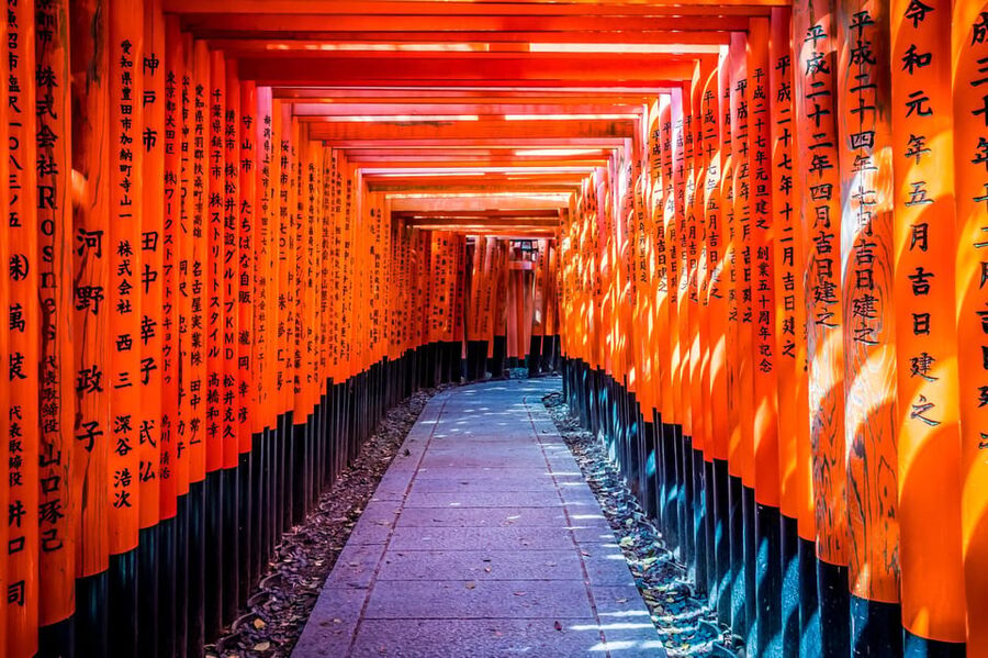 Osaka/Kyoto: Arashiyama, Nara Park, Fushimi Shrine Tour - Nara Park and the deer with 1,300 years of tradition