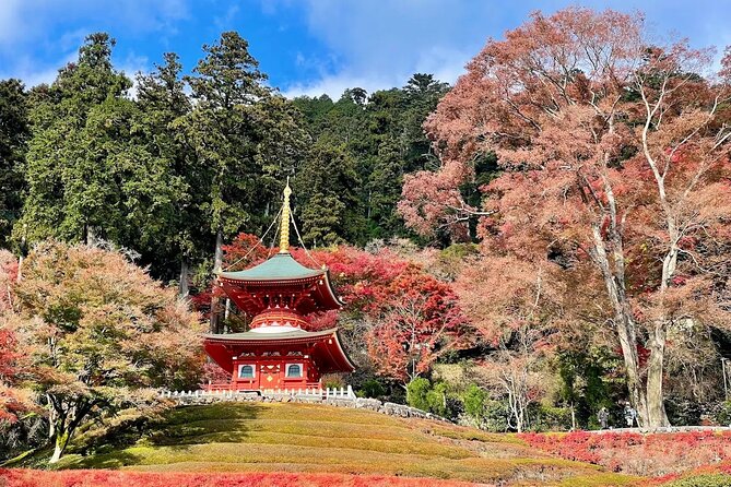 Osaka / Kyoto: Katsuoji, Arashiyama & Kinkaku-ji One Day Tour - Togetsukyo Bridge and the river view