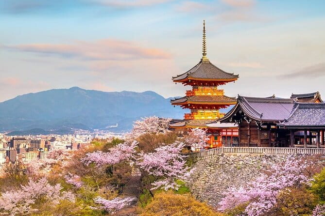 Osaka & Kyoto & Nara Top Hightlights English Speaking Tour - What this one-day route really delivers
