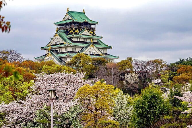 Osaka & Kyoto & Nara Top Hightlights English Speaking Tour - Ending in Shinsaibashi, not Kyoto
