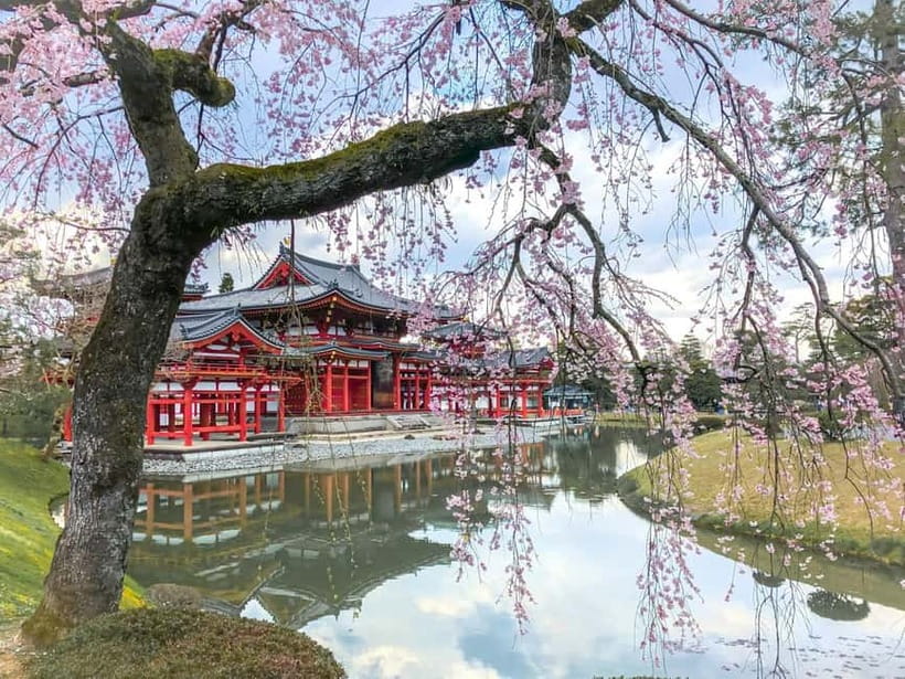 Osaka: Kyoto & Nara & Uji Historical and Scenic One-Day Tour - What this Osaka to Kyoto day trip is really like