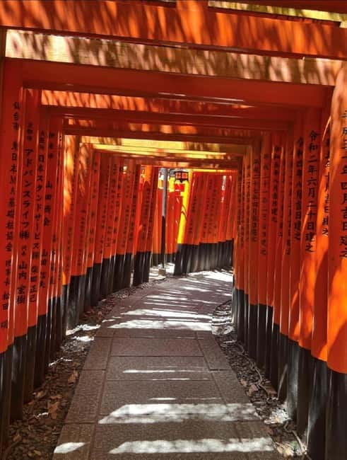 Osaka: Kyoto & Nara & Uji Historical and Scenic One-Day Tour - A realistic look at the schedule