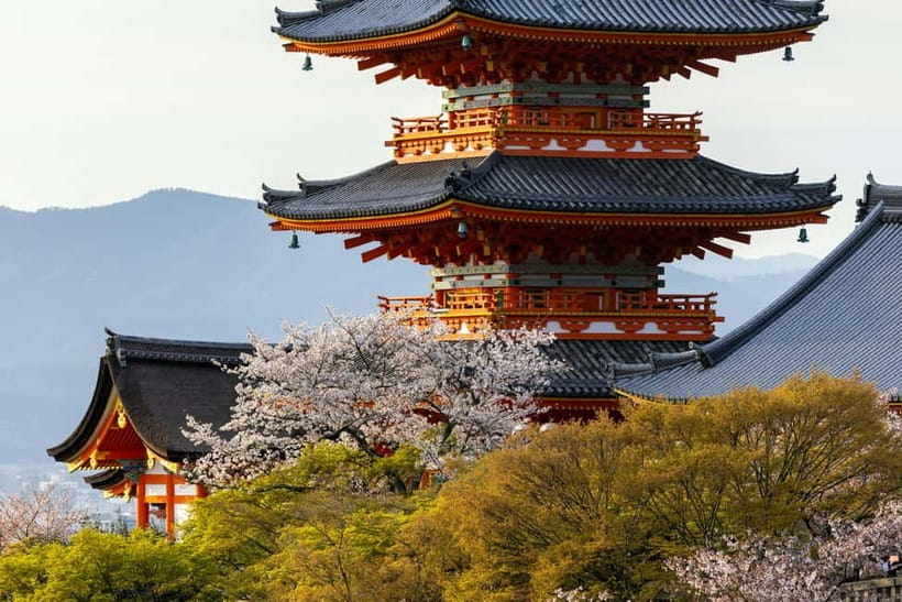 Osaka: Kyoto & Uji Historical Sites and Scenic Delights Tour - Why this Osaka to Kyoto day trip works