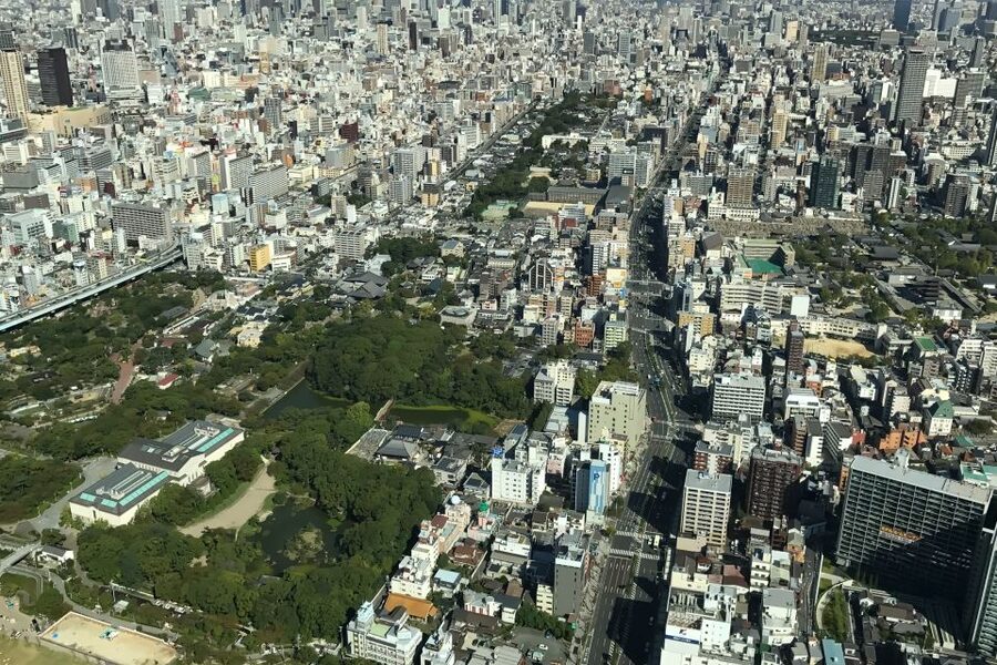 Osaka: Main Sights and Hidden Spots Guided Walking Tour - Price, walking, and practical value