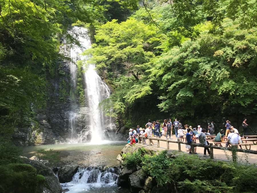 Osaka: Mino Forest Walk and Giant Waterfall with Local Lunch - From JR Osaka Station to Mino’s mountain air
