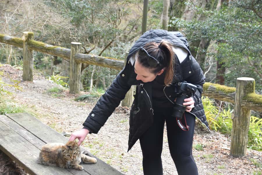 Osaka: Mino Forest Walk and Giant Waterfall with Local Lunch - A gentler return, then a local Japanese lunch