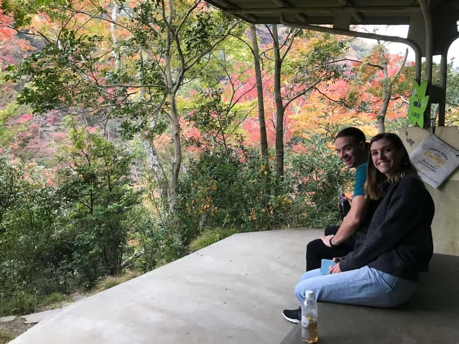 Osaka: Mino Forest Walk and Giant Waterfall with Local Lunch - What $79 gets you, and where the value sits
