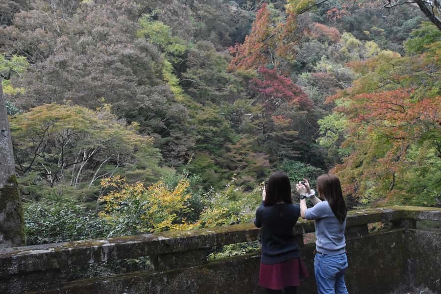 Osaka: Mino Forest Walk and Giant Waterfall with Local Lunch - Practical advice for a smoother day