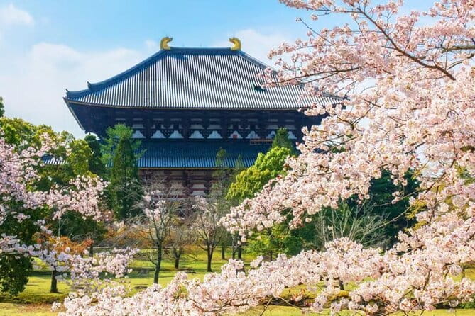Osaka: Nara, Todaiji, Uji Matcha, and Hot Spring Tour - Nara Park and its free-roaming deer