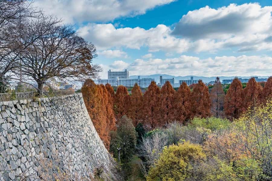 Osaka: Osaka Castle 3 hours Historical Walking Tour - Why this Osaka Castle walk works