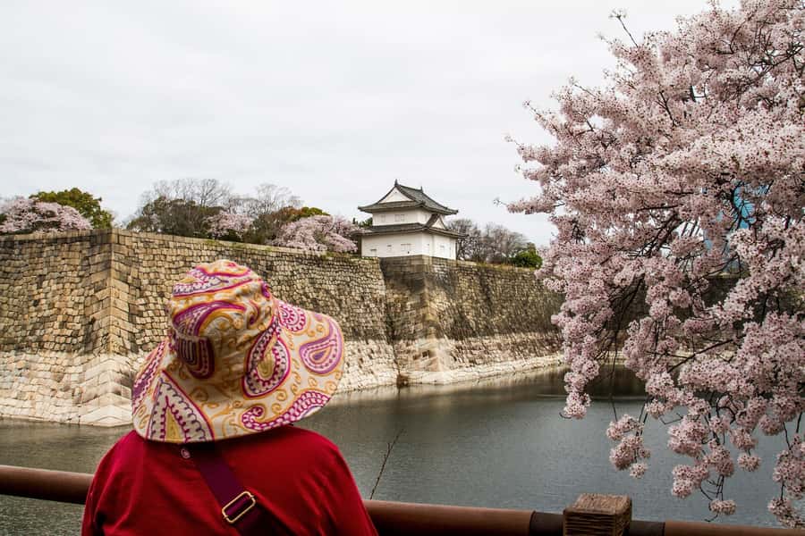 Osaka: Osaka Castle 3 hours Historical Walking Tour - Nishinomaru Garden for the castle’s best frame