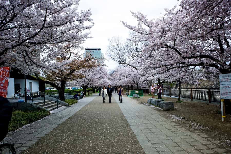 Osaka: Osaka Castle 3 hours Historical Walking Tour - Osaka Castle Park and the city’s everyday rhythm