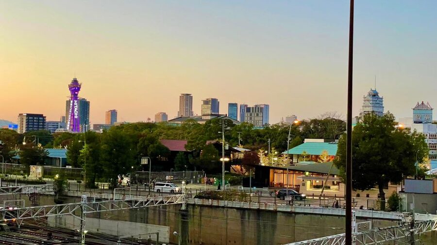 Osaka: Osaka Castle - Tsuruhashi - Tennoji (Spanish Guide) - Practical details that shape your day