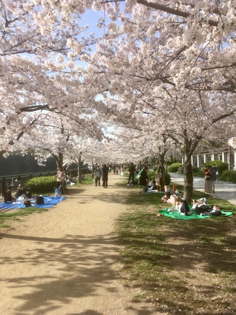 Osaka: Private and Fully Customized Tour with Hotel Meet Up - A private Osaka introduction with room to change course