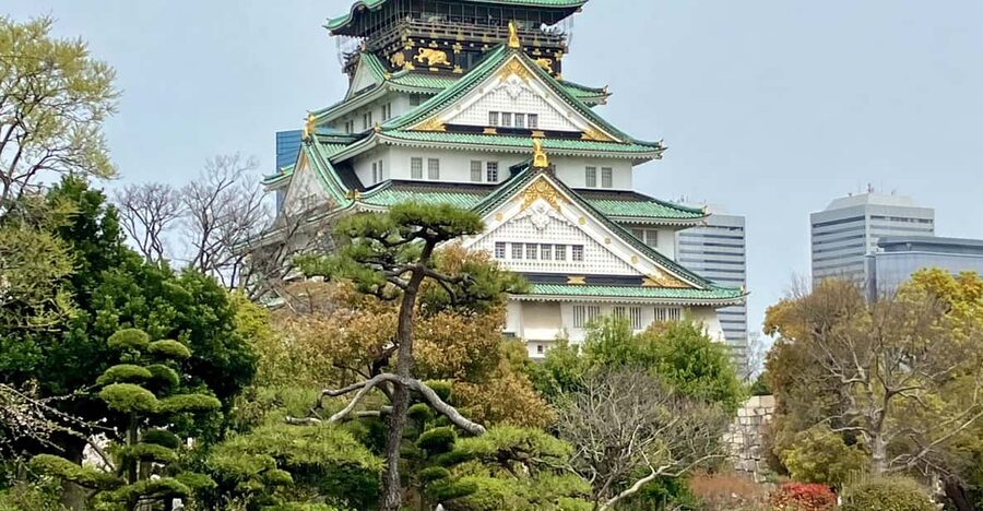 Osaka: Private and Fully Customized Tour with Hotel Meet Up - The important Kyoto and Osaka wording problem