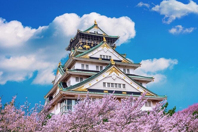 Osaka Private Cherry Blossom Tour with a Local – Picnic Included - A private hanami day instead of a standard sightseeing walk