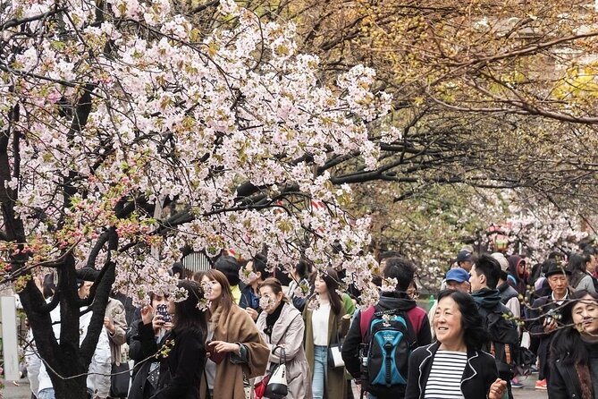 Osaka Private Cherry Blossom Tour with a Local – Picnic Included - Osaka Castle Park and reflections on the water