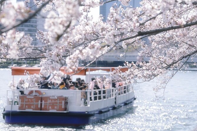 Osaka Private Cherry Blossom Tour with a Local – Picnic Included - The Osaka Mint Bureau and its short viewing window