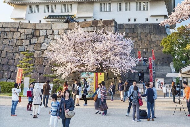 Osaka Private Cherry Blossom Tour with a Local – Picnic Included - Expo Commemoration Park and wide open lawns
