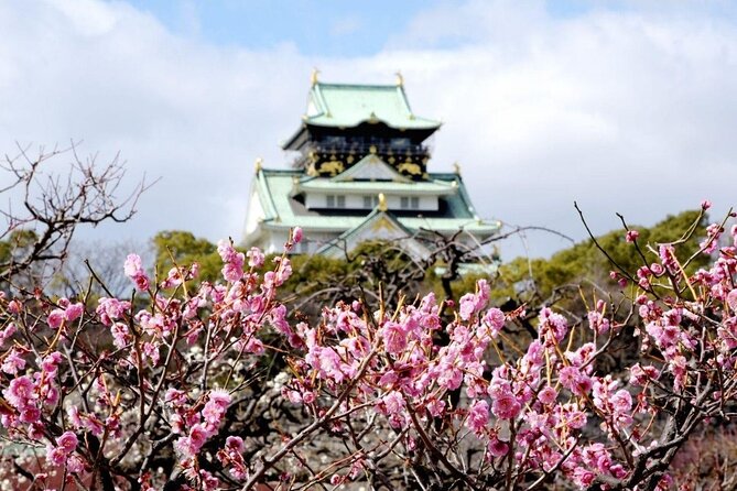 Osaka Private Cherry Blossom Tour with a Local – Picnic Included - Ending beside the O River